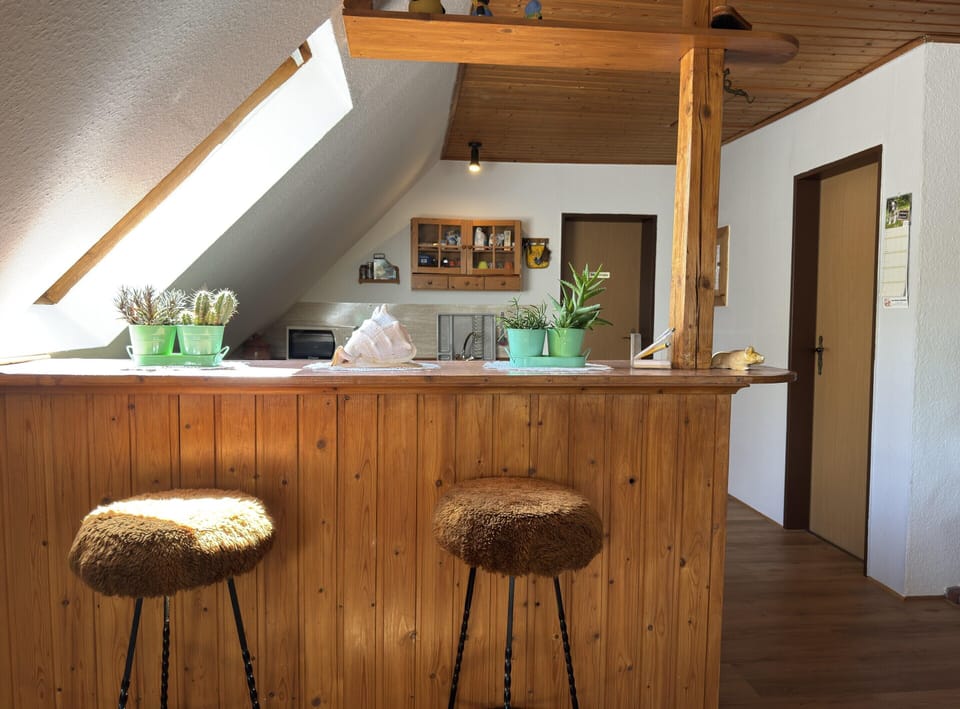 Apartment | Private kitchen | Electric kettle, toaster, highchair