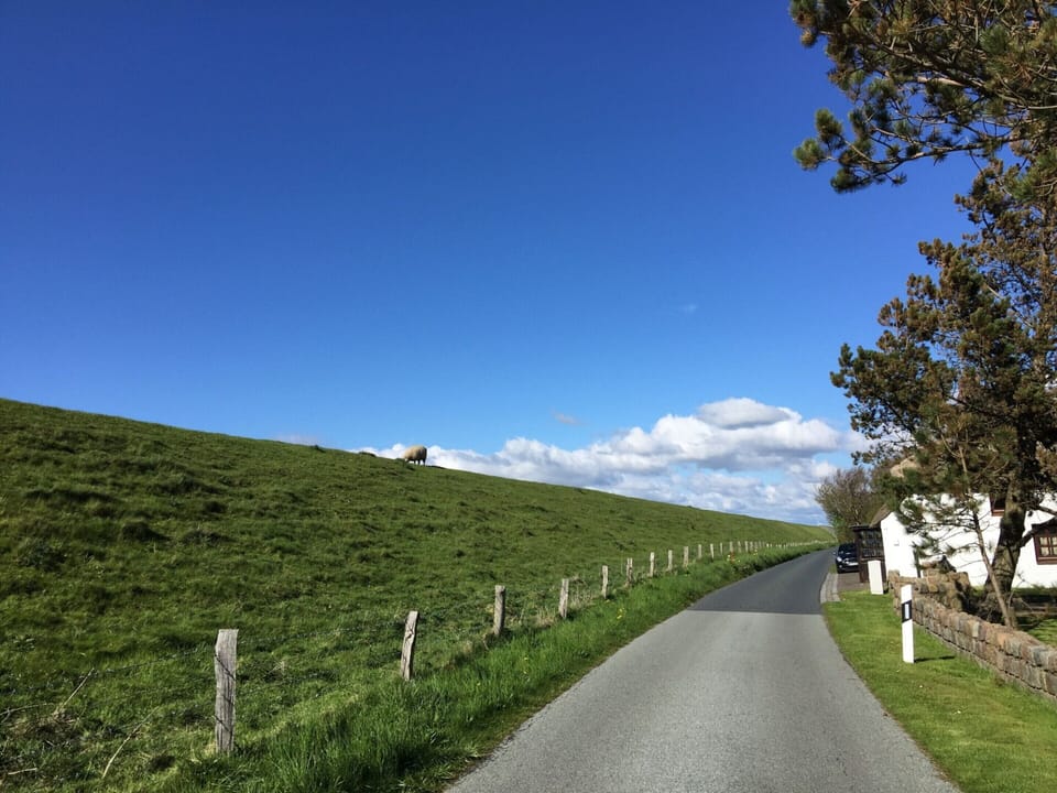 House | View from property