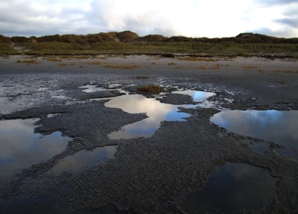 House | View from property