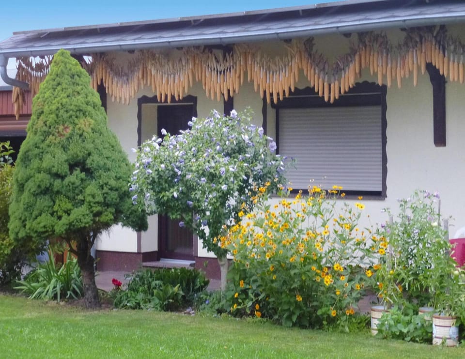 Bungalow | View from property
