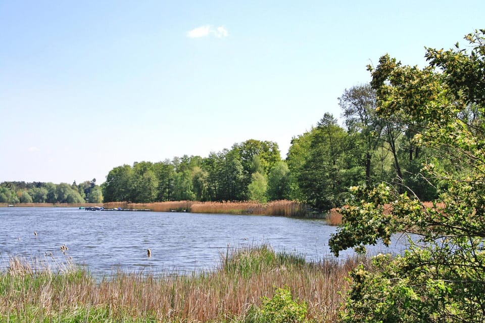 House | Water view