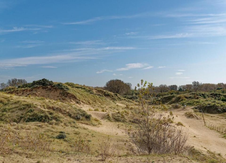 Apartment | View from property