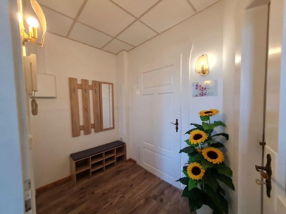 Apartment | Interior