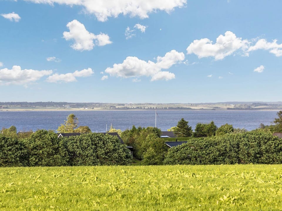 House | View from property