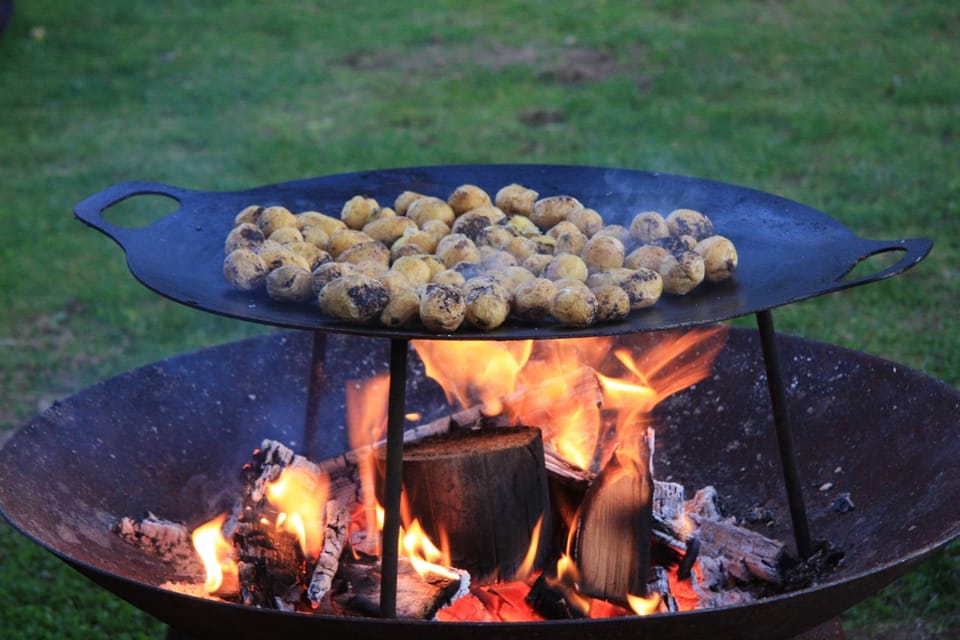 BBQ/picnic area