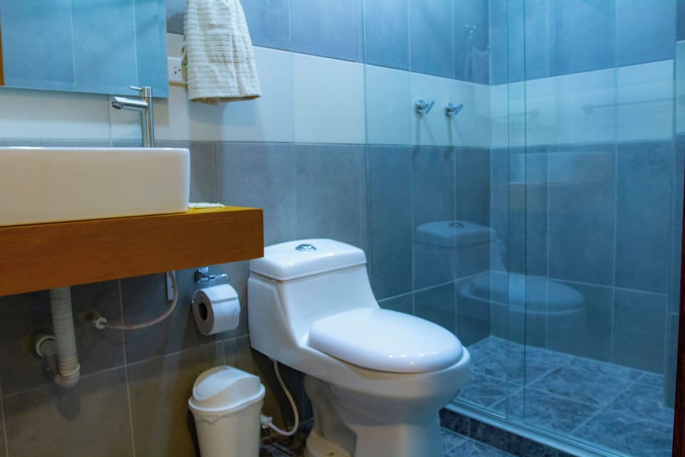 Standard Room | Bathroom | Shower, towels, soap, shampoo