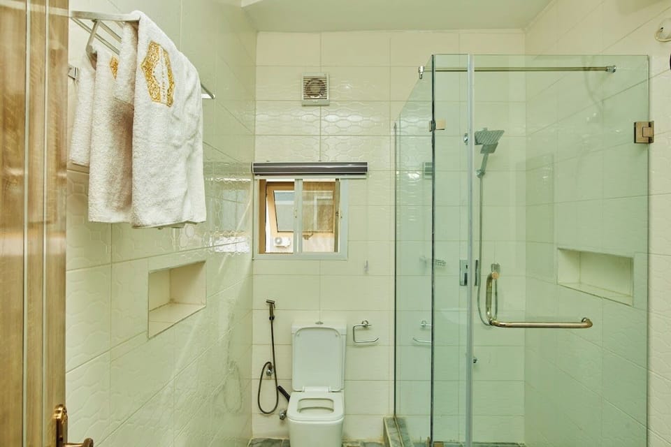 Towels, soap, shampoo, toilet paper