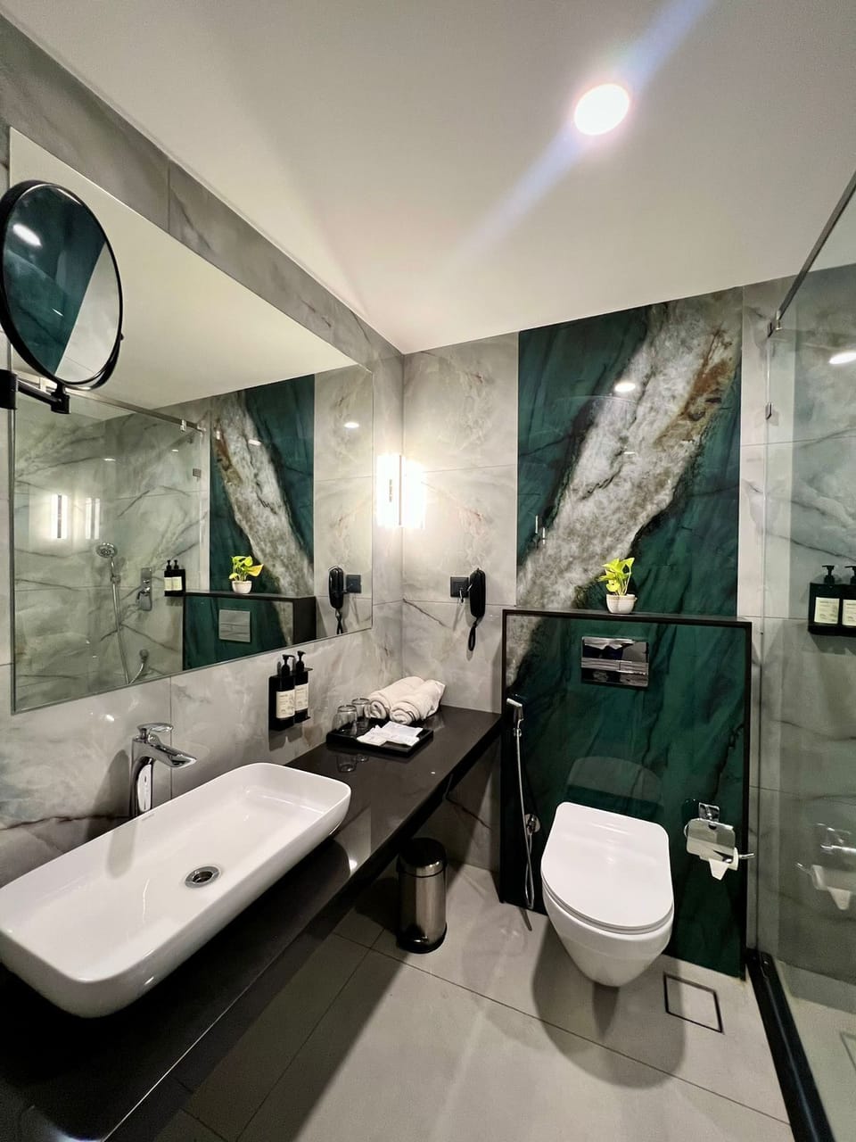 Luxury Room | Bathroom | Shower, towels, soap, shampoo