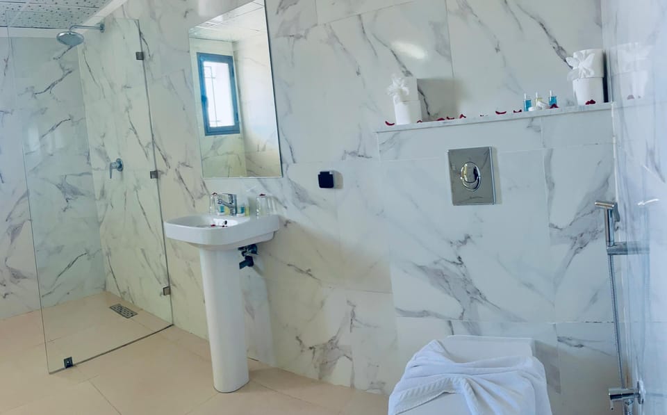 Towels, soap, shampoo, toilet paper