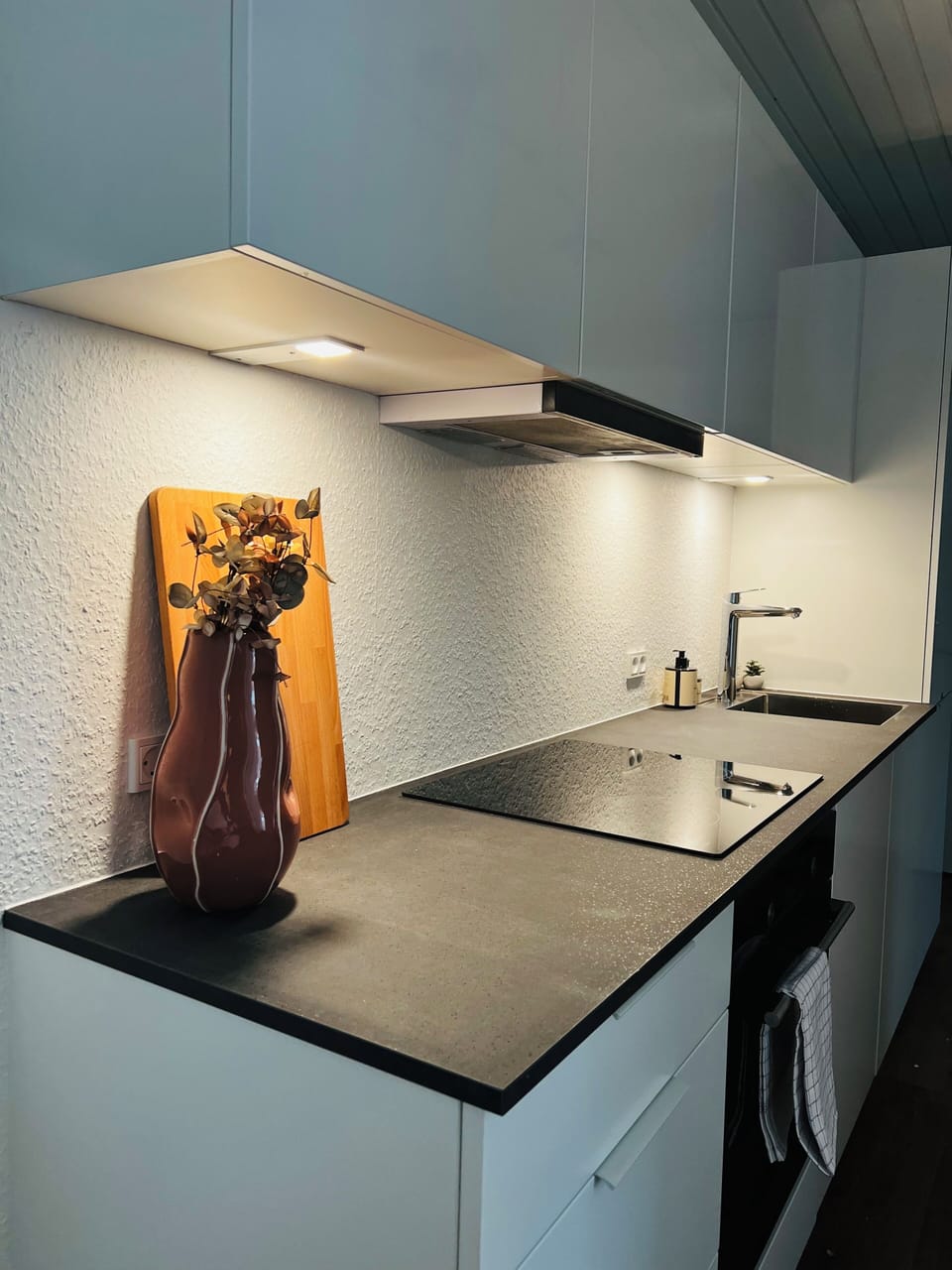 Comfort Apartment | Private kitchen | Full-size fridge, oven, stovetop, cookware/dishes/utensils