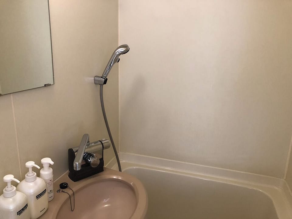 Combined shower/tub, hair dryer, slippers, shampoo