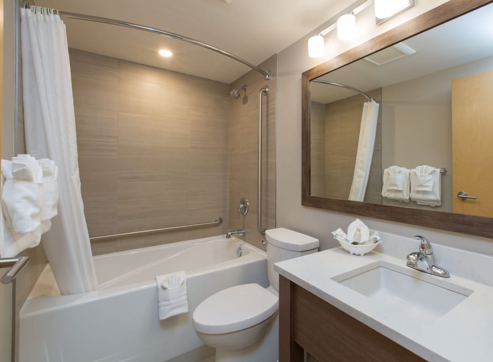 Combined shower/tub, eco-friendly toiletries, hair dryer, towels