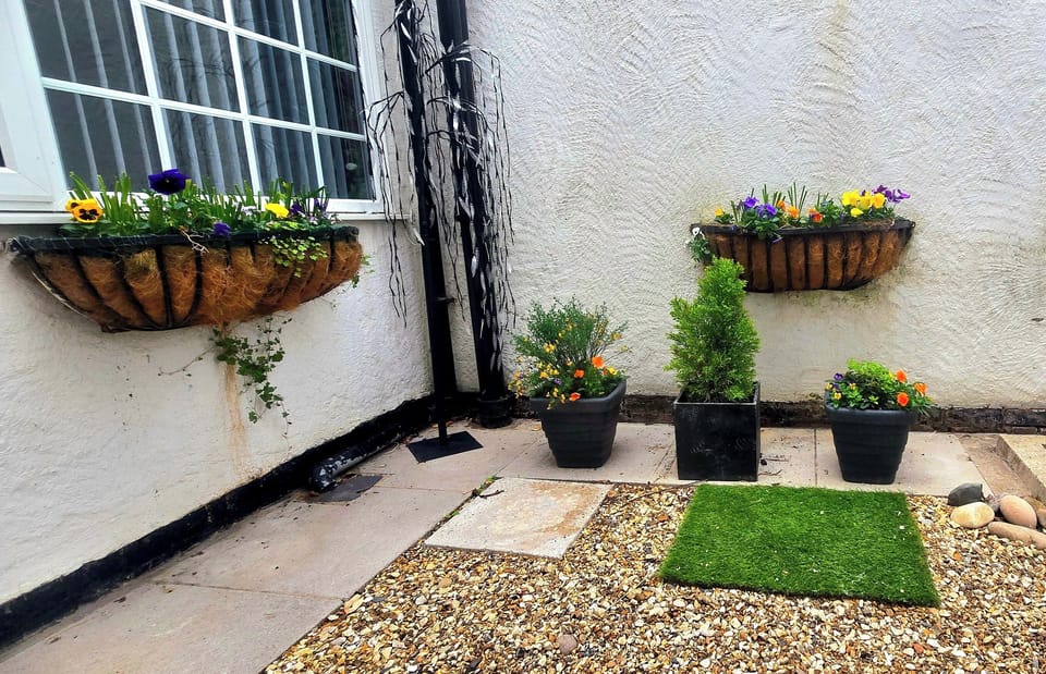 Apartment | Property grounds