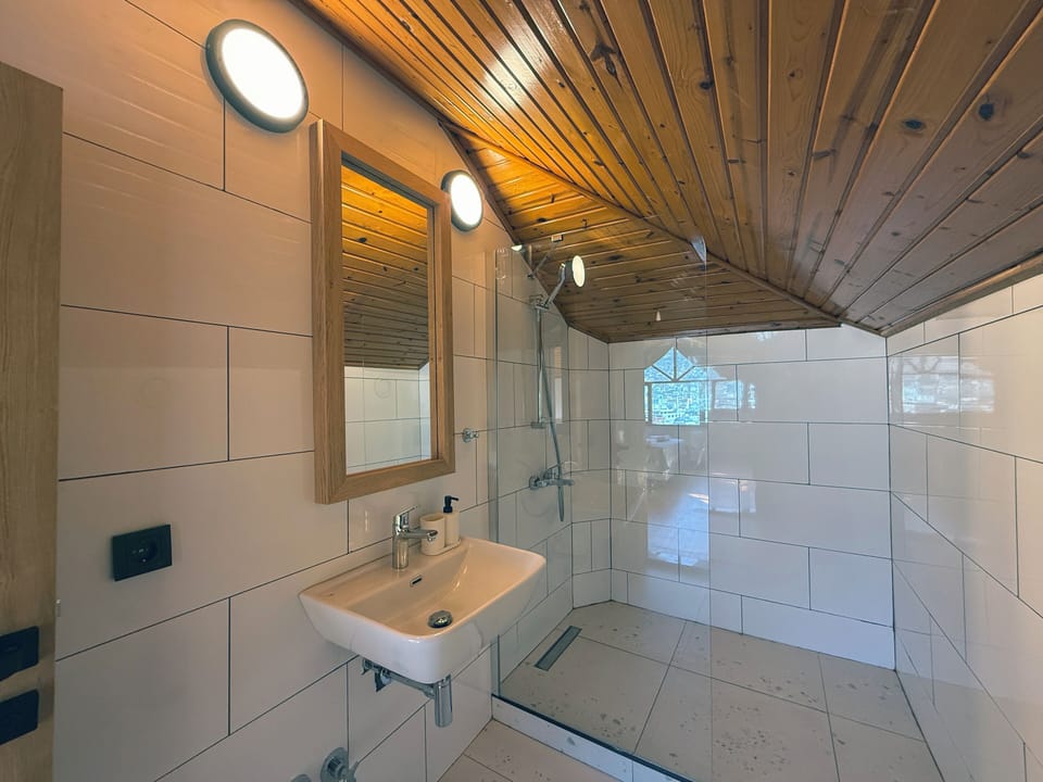 Deluxe Room | Bathroom | Shower, hair dryer, slippers, towels