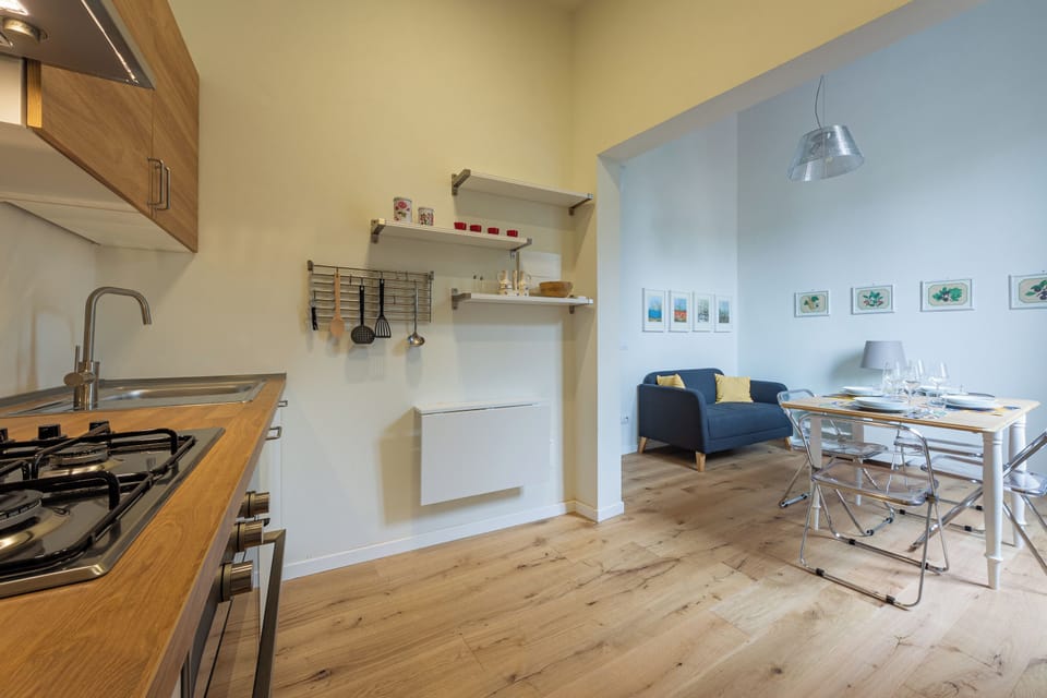 Classic Apartment | Private kitchen | Full-size fridge, oven, dishwasher, cookware/dishes/utensils
