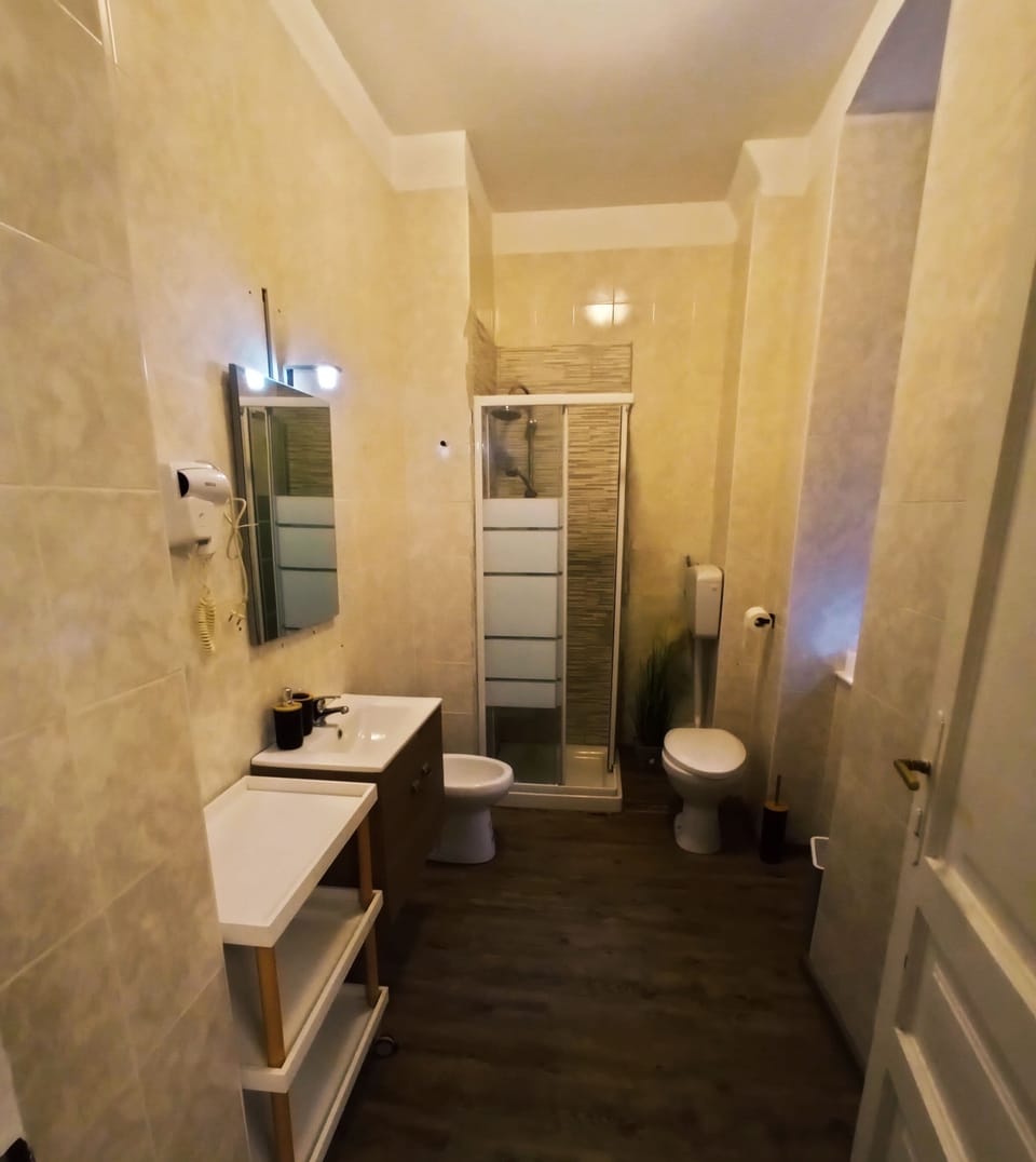 Basic Double Room Single Use | Bathroom | Shower, hair dryer, bidet, towels