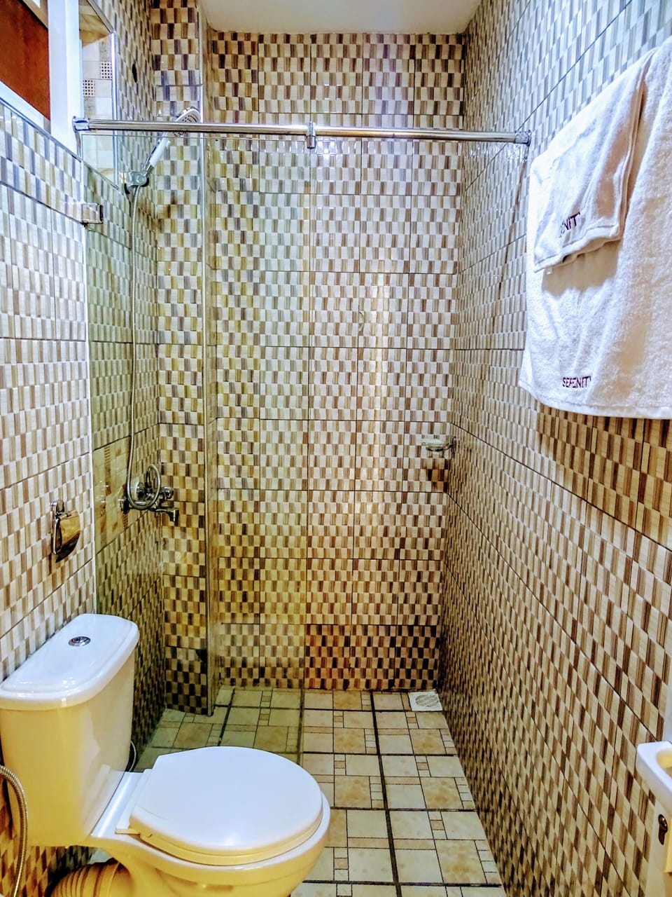 Towels, soap, shampoo, toilet paper