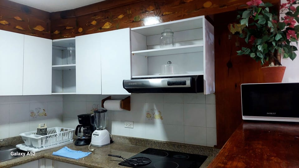 Family Apartment, Partial Sea View | Private kitchen | Blender, griddle