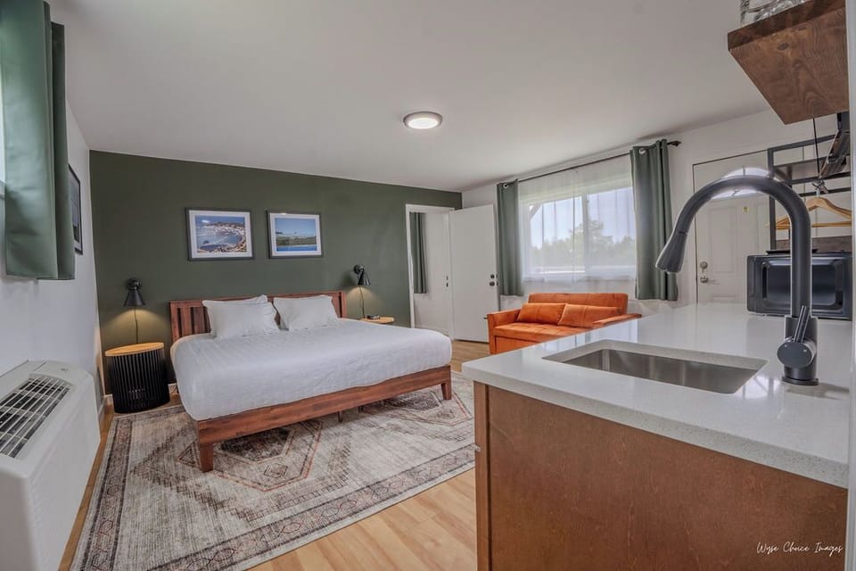 Studio, 1 King Bed with Sofa bed | Individually decorated, individually furnished, blackout drapes