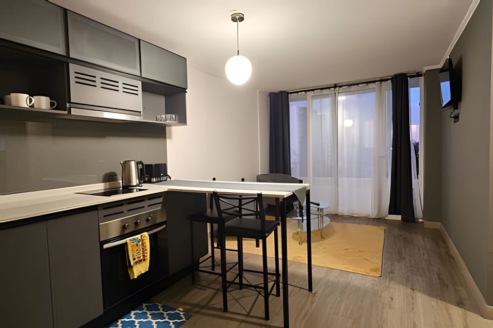 Apartment | Private kitchen | Fridge, microwave, oven, electric kettle