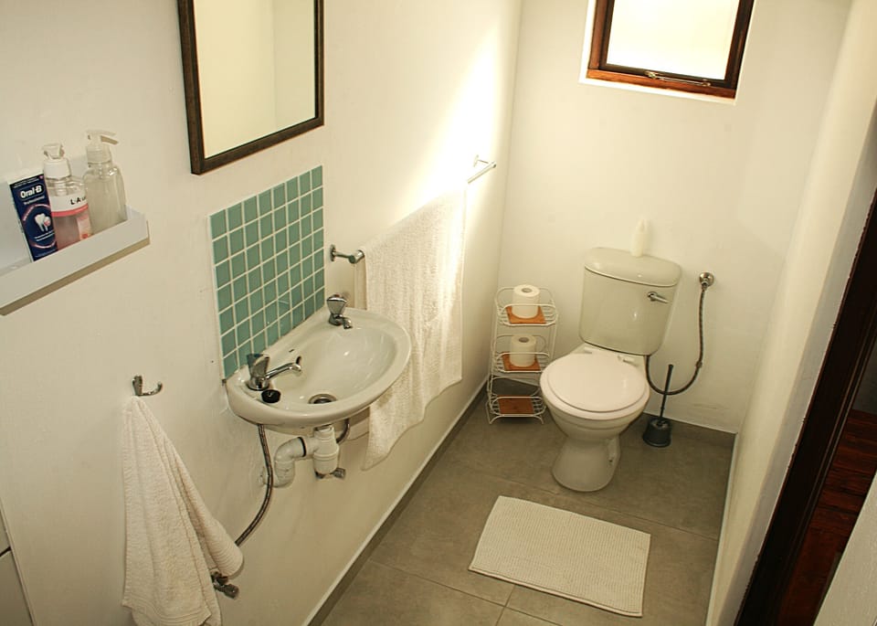Shower, hair dryer (on request), towels, soap