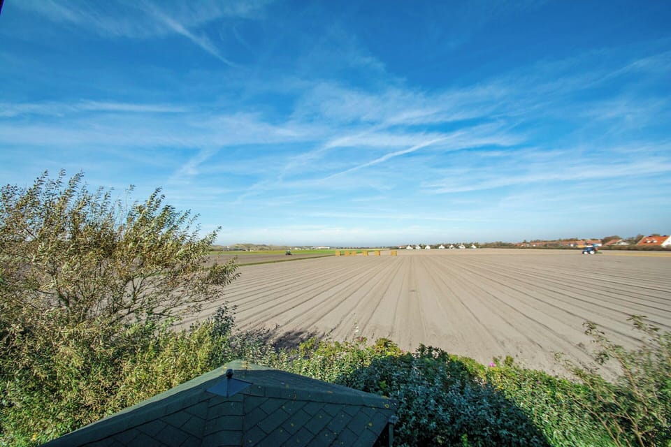 House | View from property