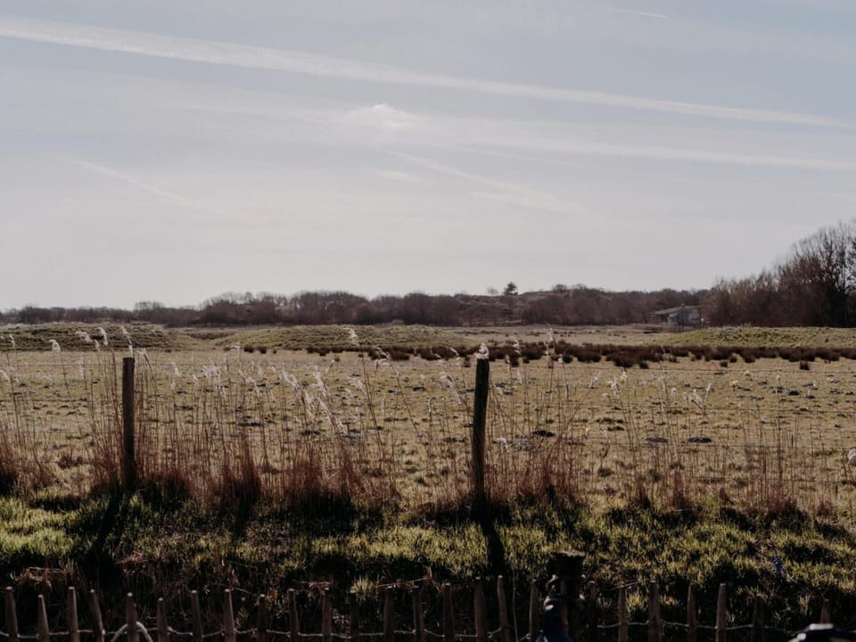 House | View from property