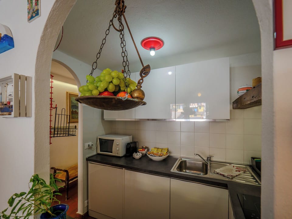 Apartment, 2 Bedrooms, Terrace | Private kitchen | Fridge, microwave, oven, stovetop