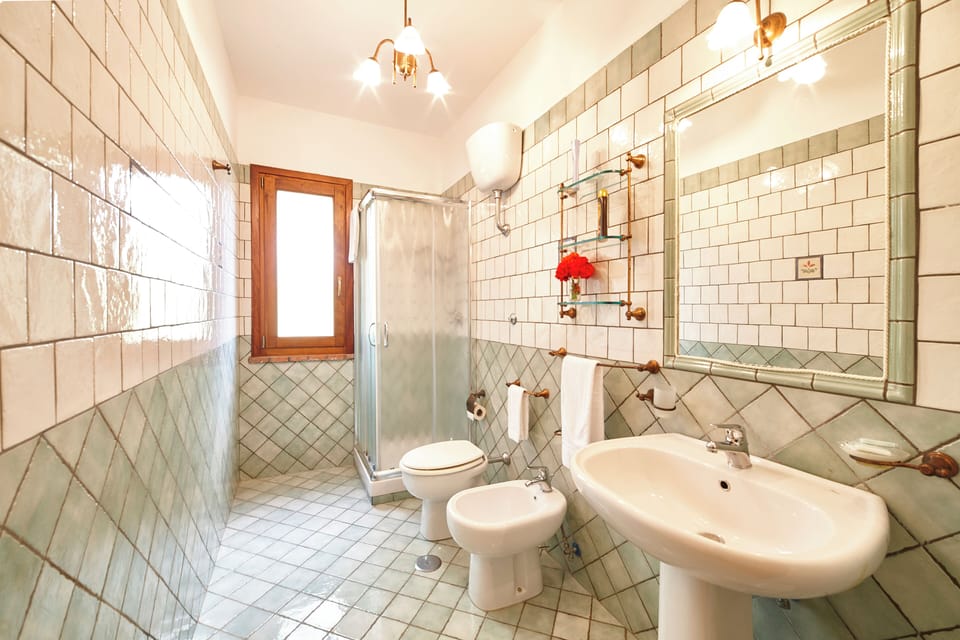 Shower, hair dryer, bidet, towels