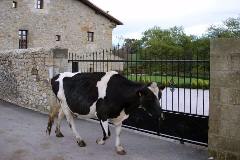 Property amenity
