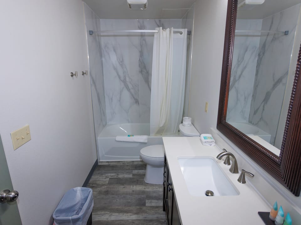 Standard Room, 1 King Bed with Sofa bed, Non Smoking | Bathroom | Combined shower/tub, free toiletries, hair dryer, towels
