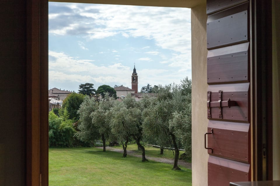 Single Room | View from room
