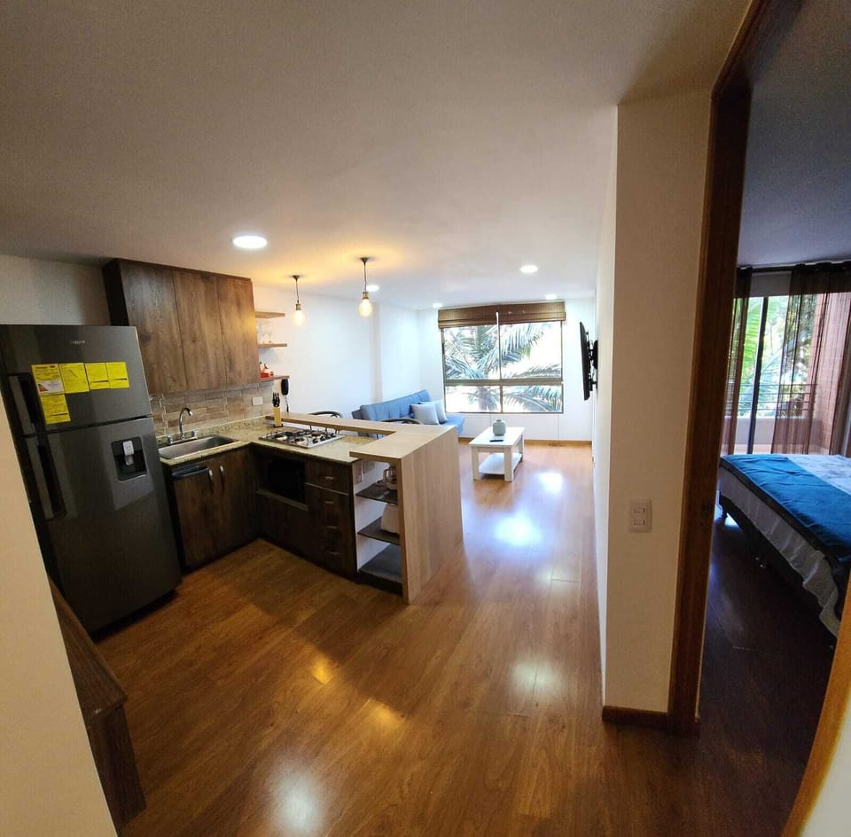 Junior Apartment, 1 Double Bed with Sofa bed, Balcony, City View | Private kitchen