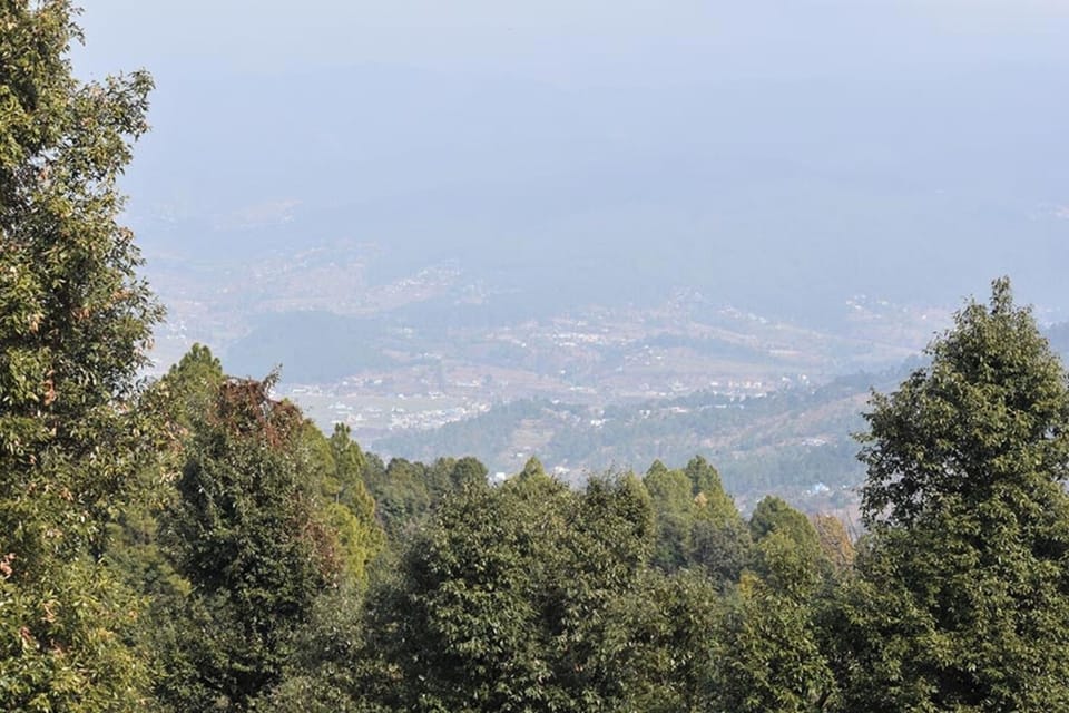 Mountain view