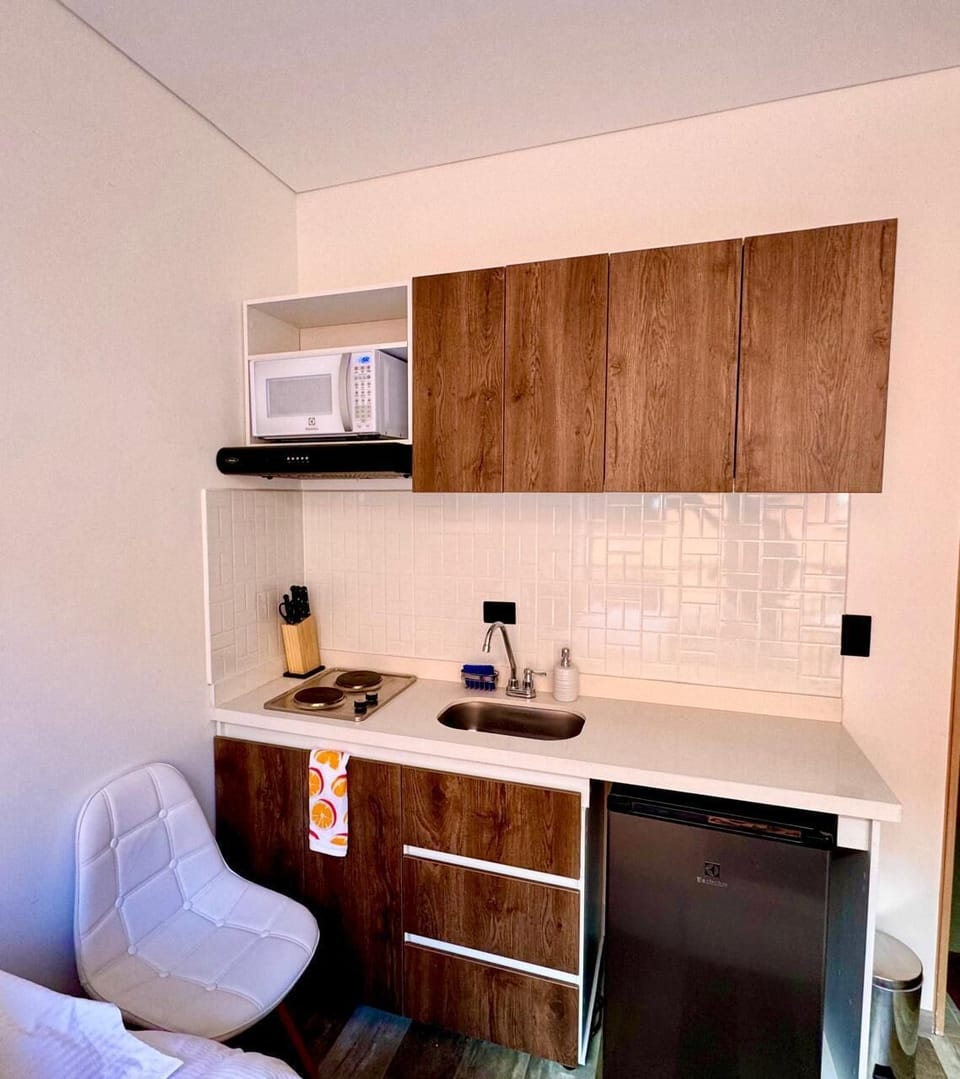 Standard Apartment, Balcony, City View | Private kitchen | Mini-fridge, microwave, stovetop, cookware/dishes/utensils