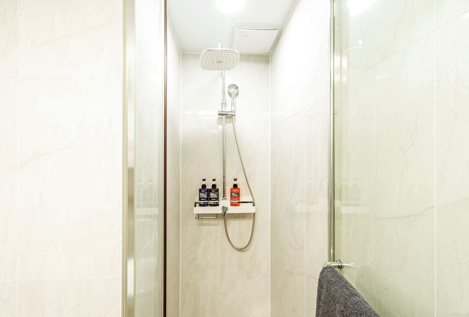 Shower, hair dryer, towels