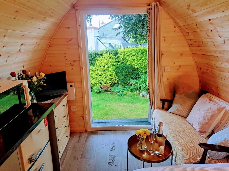 Cabin | Private kitchen | Fridge, microwave, electric kettle, toaster