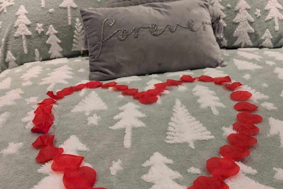 Cabin | Interior detail