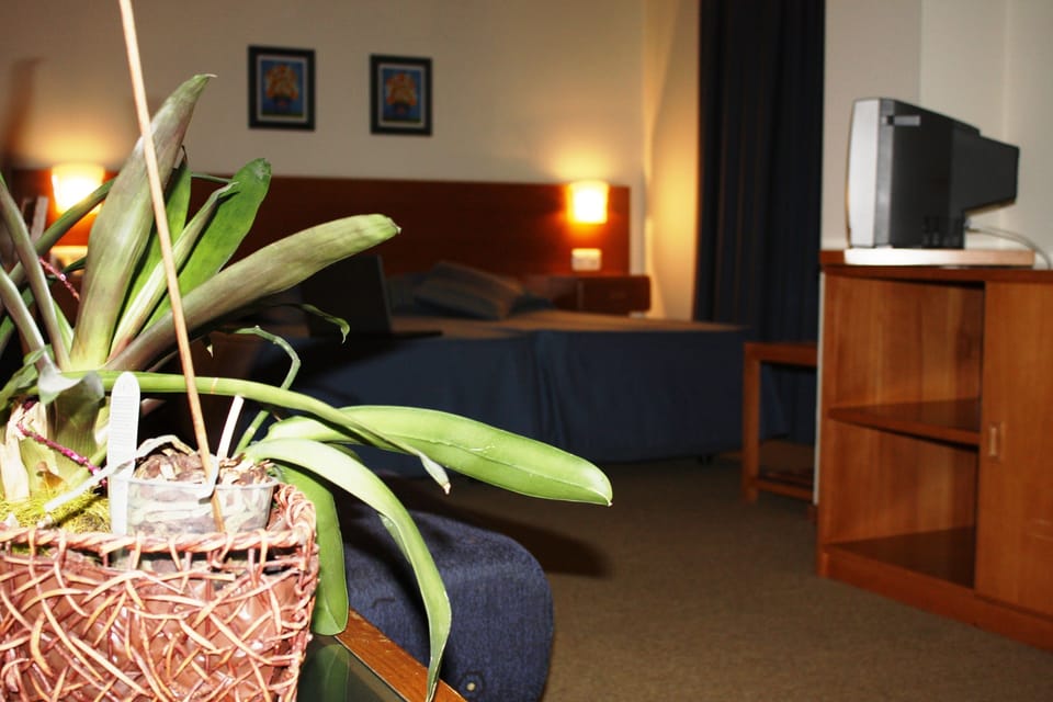 Triple Room | Soundproofing, free WiFi, wheelchair access