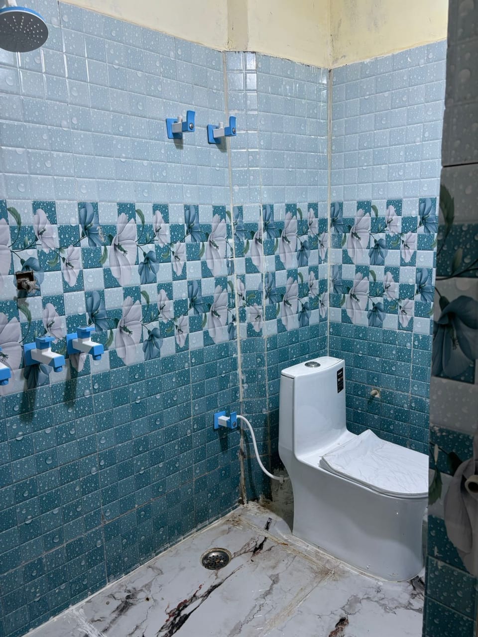 Shower, slippers, bidet, towels