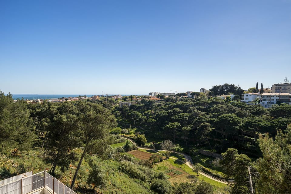 Apartment, 4 Bedrooms | Balcony view