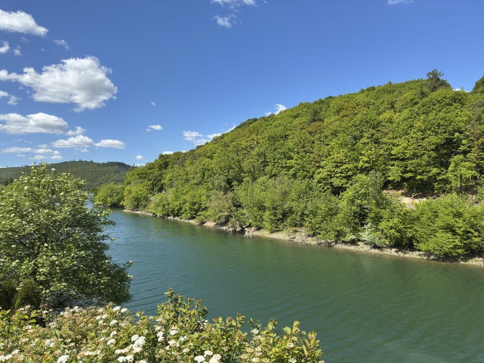 Chalet | View from property