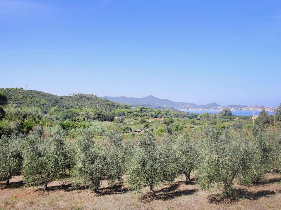 House | View from property