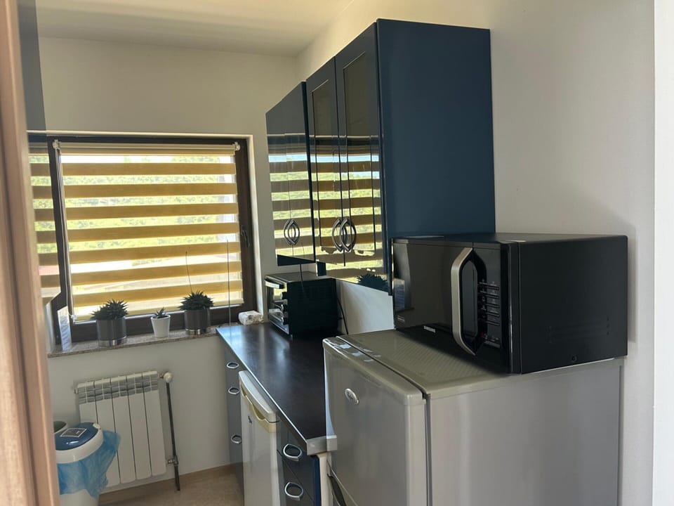 Apartment | Private kitchen | Electric kettle, toaster