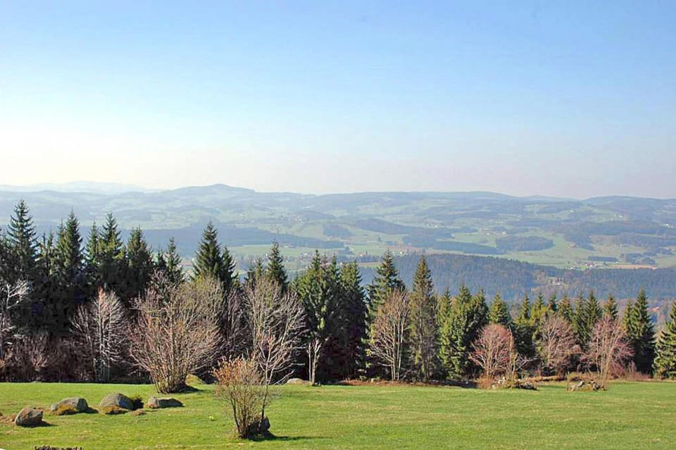 House | View from property