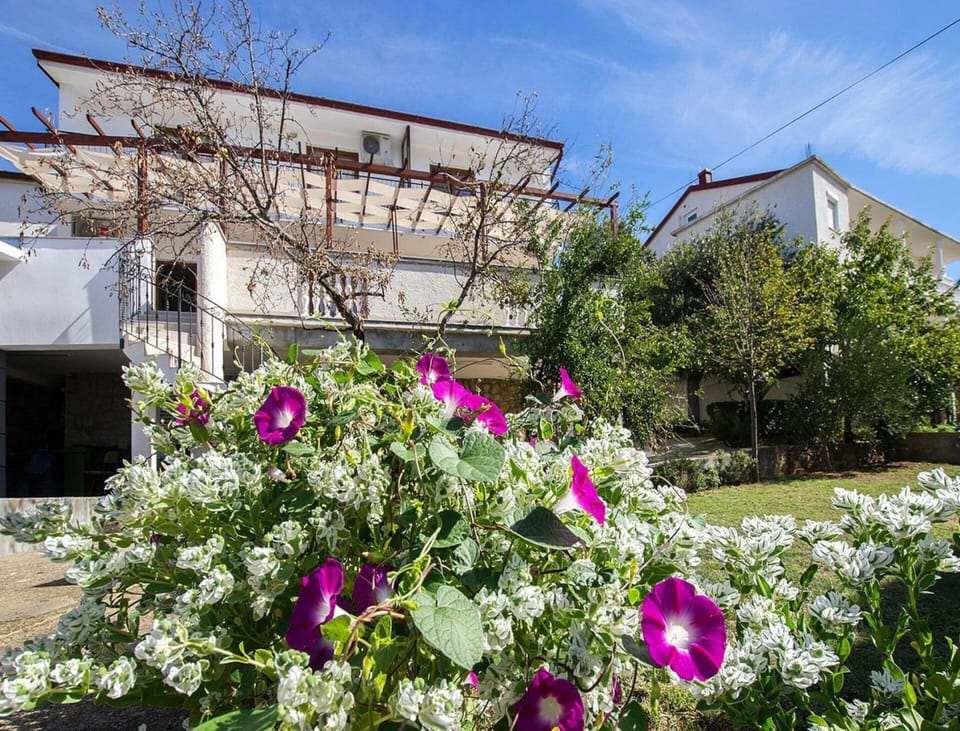 Apartment | Garden