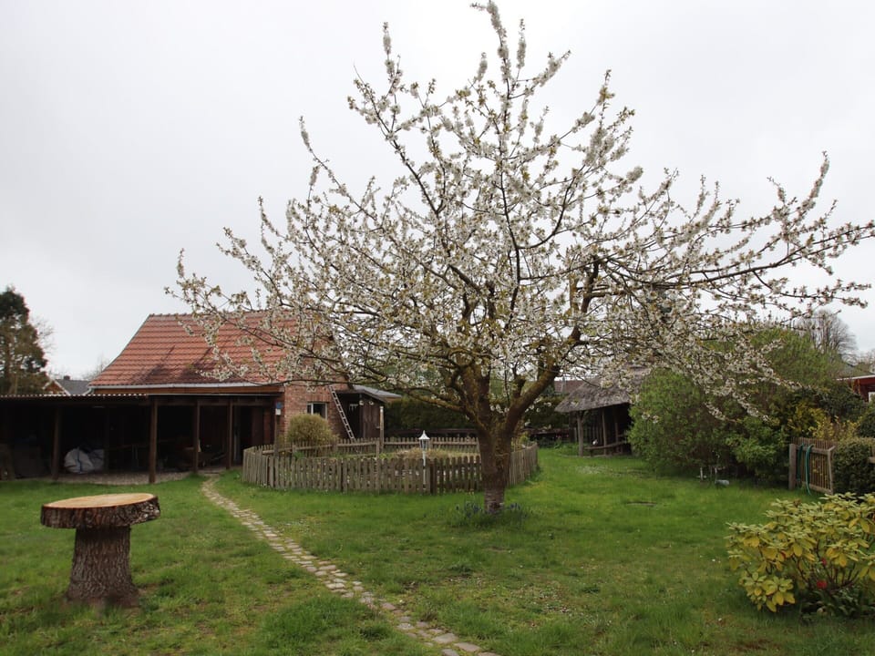 House | Garden