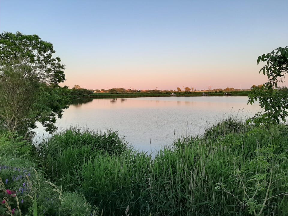 Apartment | View from property