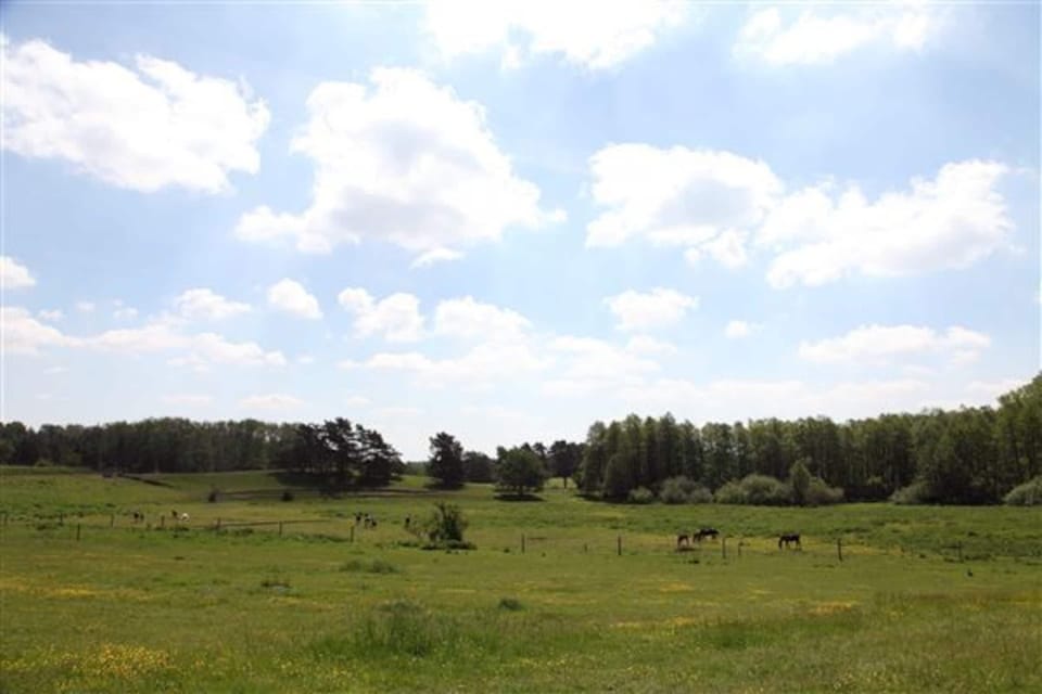 House | View from property