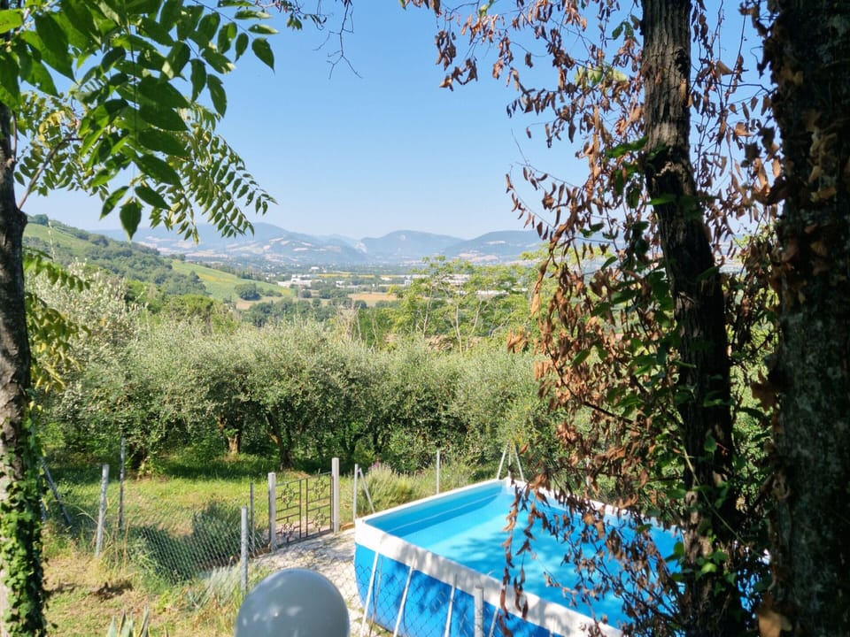 House | Pool | Indoor pool, outdoor pool